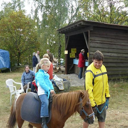 Holiday Home In Wietzendorf In The L Neburg Heath With A View Of The Countryside Екстер'єр фото