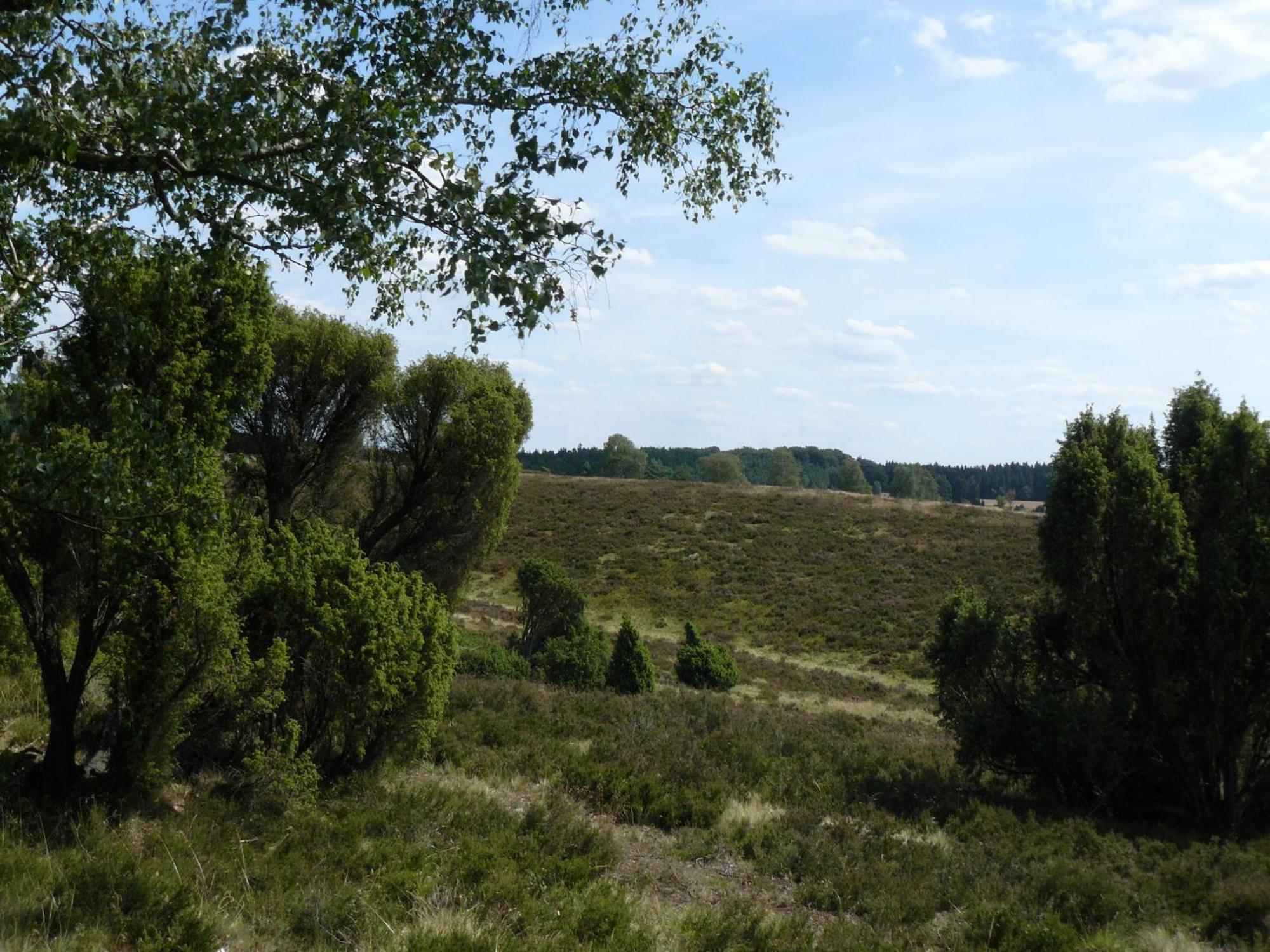 Holiday Home In Wietzendorf In The L Neburg Heath With A View Of The Countryside Екстер'єр фото