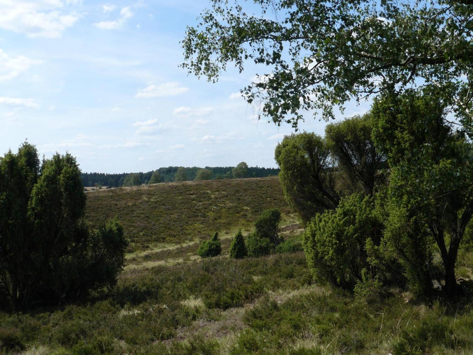 Holiday Home In Wietzendorf In The L Neburg Heath With A View Of The Countryside Екстер'єр фото